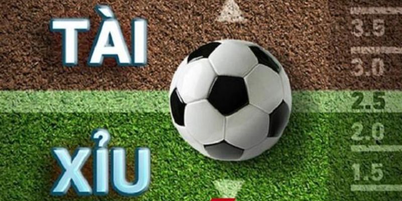 kèo tài xỉu bóng đá